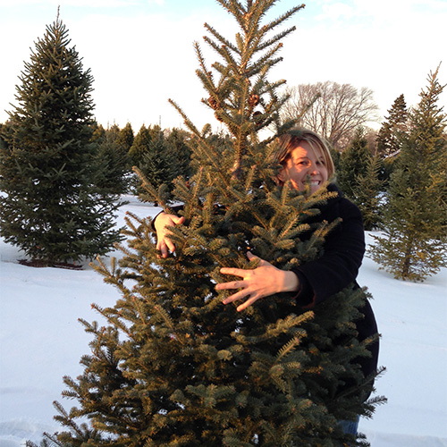 Richardson’s Tree Farm (Ryan Richardson)