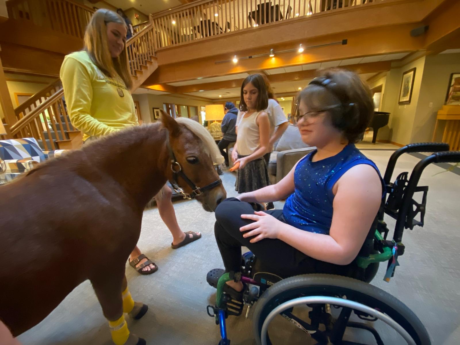 Ash Mini Horse